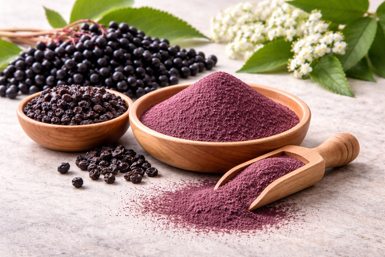 Elderberry — Sambucus nigra
