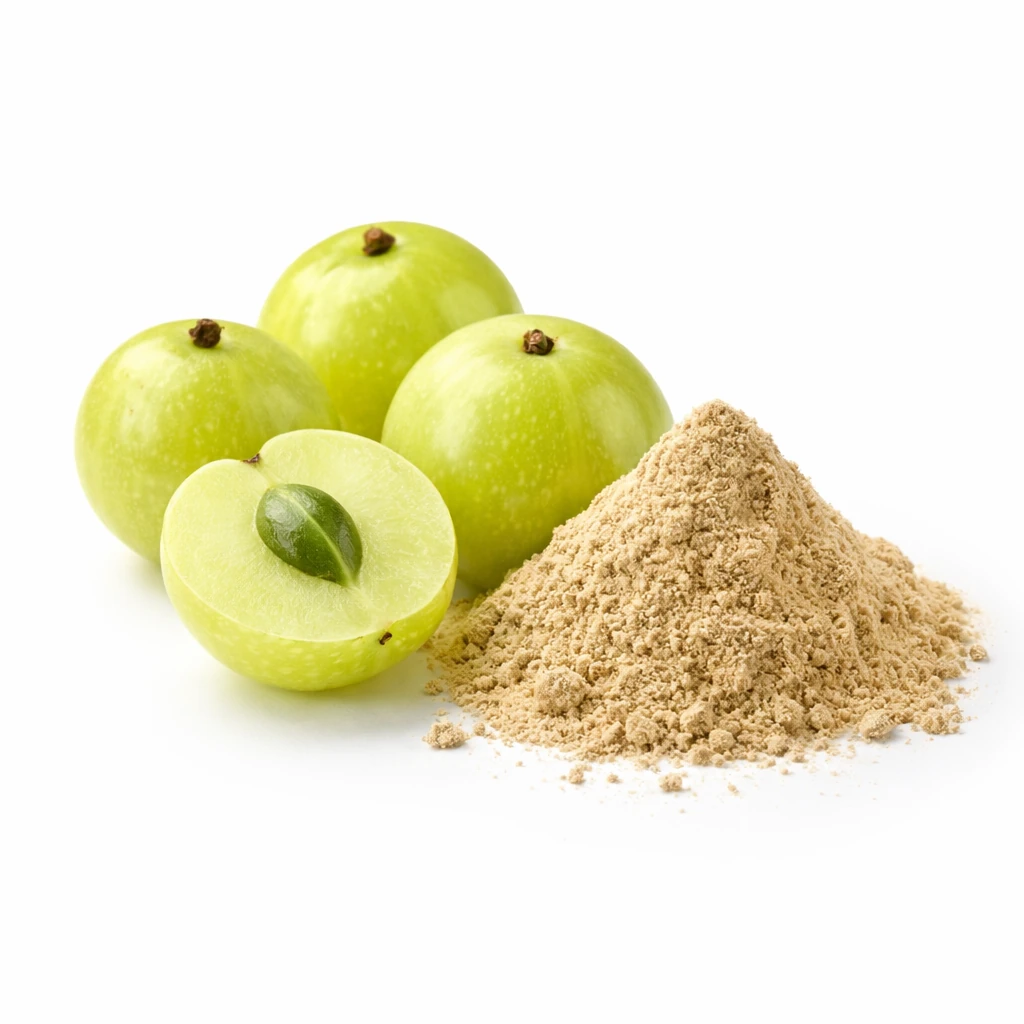 Indian Gooseberry / Amla — Phyllanthus emblica